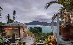 Paku Palms